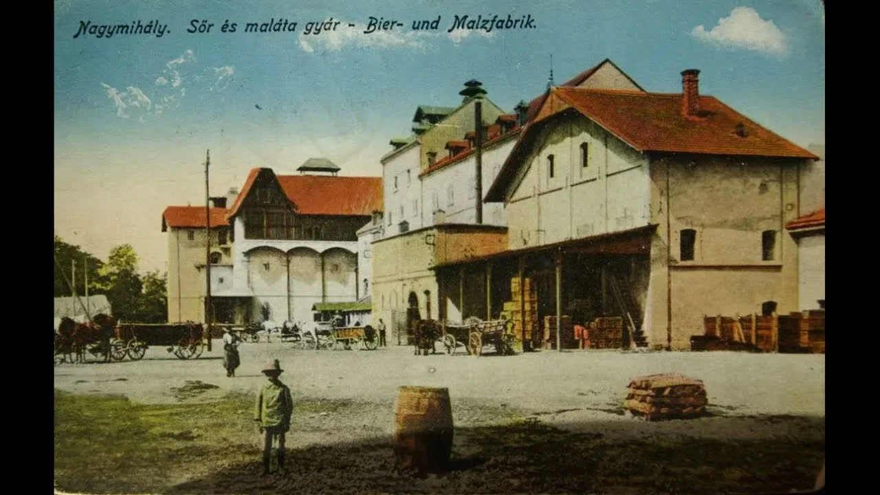 Náhľad podcastu Michalovský pivovar - od grófa Sztáraya po odstrel komína (1867-2002)